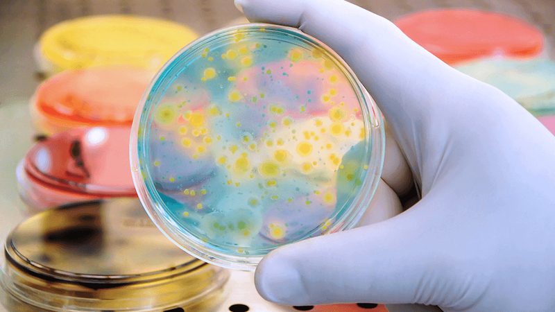 生物制品储存：关键步骤与常见误区**