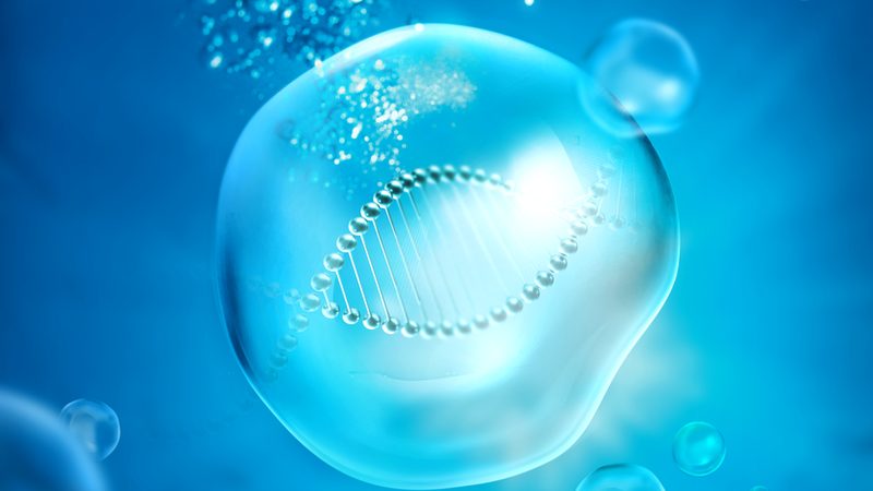注册一件生物制品，代理费用究竟花在哪里