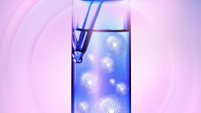 引物合成规格：揭秘PCR实验中的关键要素