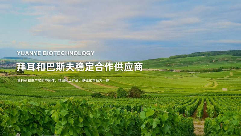 低温离心管厂家的真实门槛