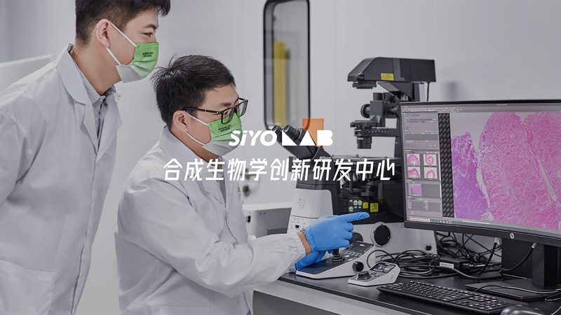 基因测序的六步拆解：从样本到数据报告