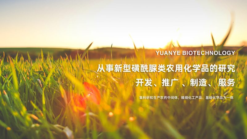 研发实力强的生物科技公司，到底强在哪