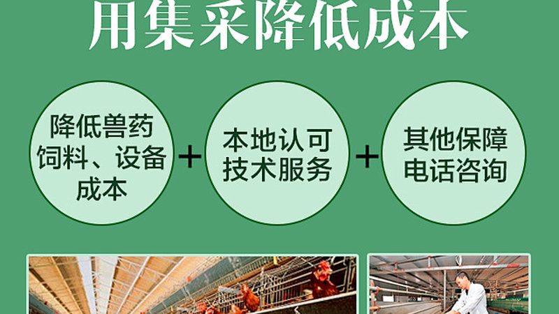 cro优化工具对比评测