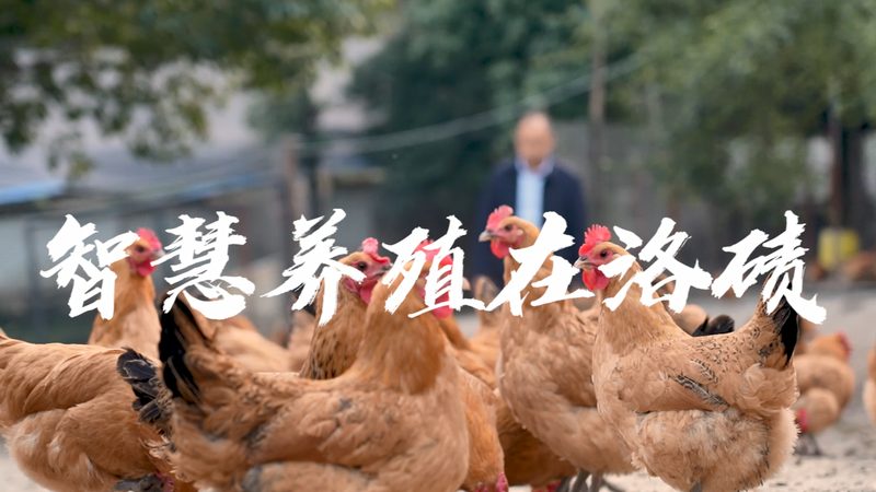 PCR检测仪器怎么选性价比高